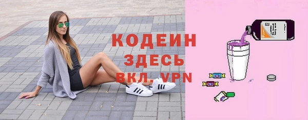 индика Михайловск