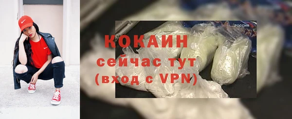 тгк Михайлов