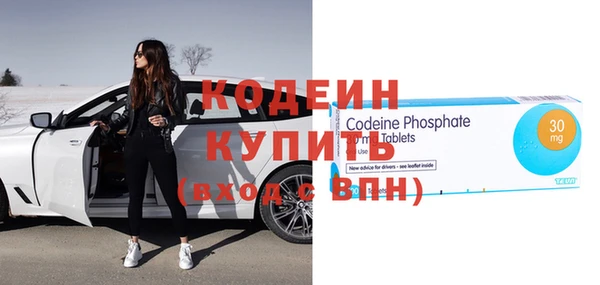 индика Михайловск