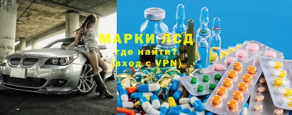 индика Мегион