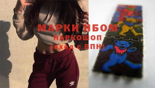 индика Михайловск