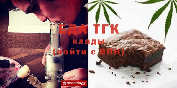 индика Михайловск