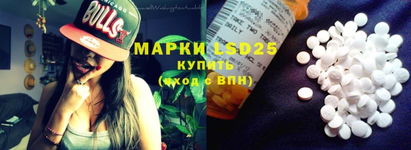 индика Мегион