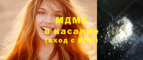 индика Михайловск