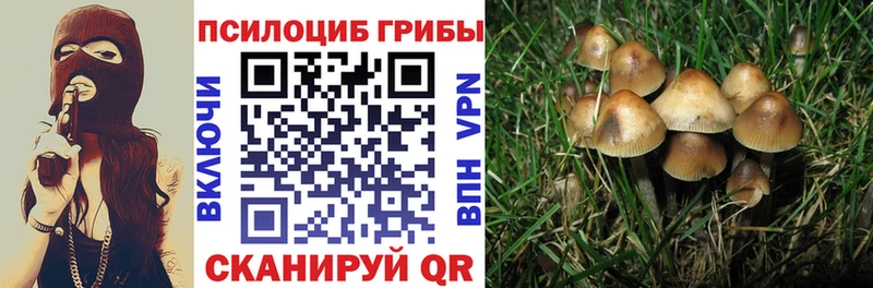 Галлюциногенные грибы MAGIC MUSHROOMS  Сысерть 